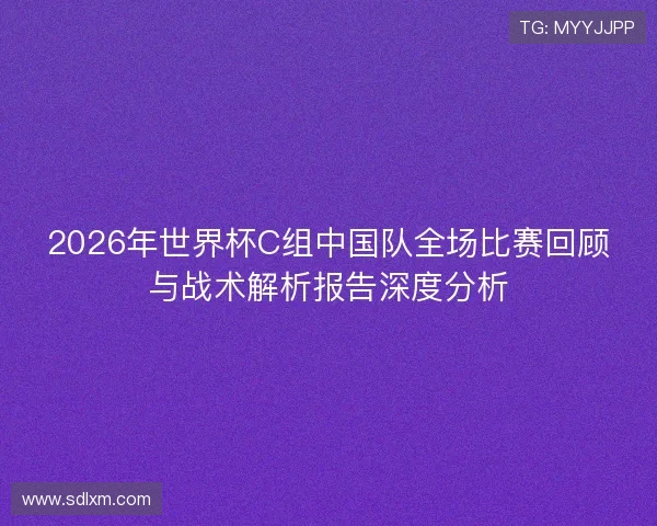 2026年世界杯C组中国队全场比赛回顾与战术解析报告深度分析